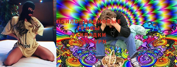 мдпв Дмитриев