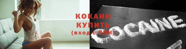 бошки Дмитров