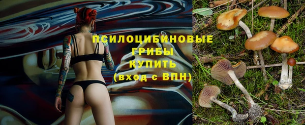 бошки Дмитров