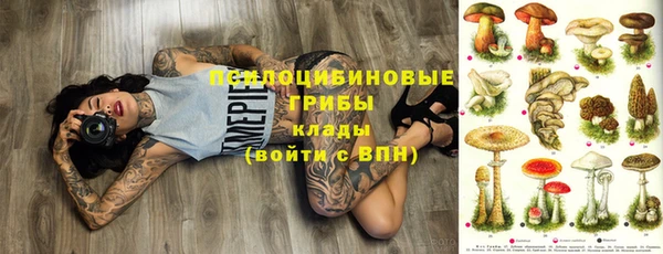 мдпв Дмитриев