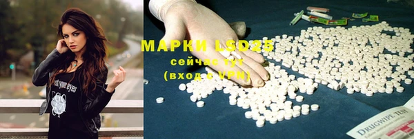 бошки Дмитров