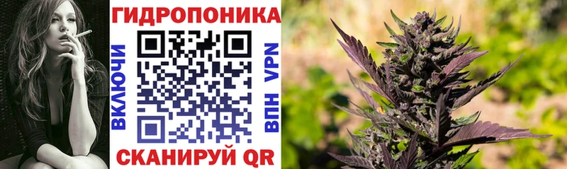 Купить закладки  Камбарка  Каннабис планчик 